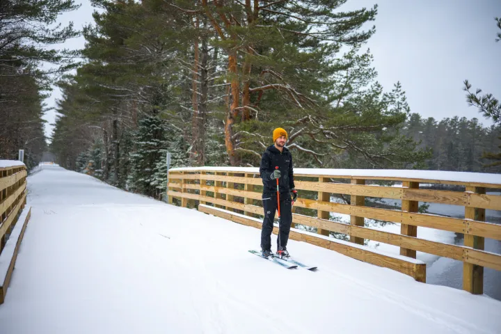 XC skier on the Rail Trail