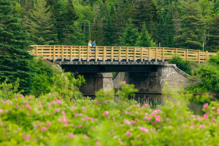 Walking the Adirondack Rail Trail.