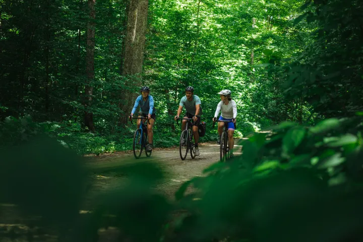 A group of gravel bikers.
