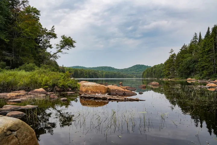 A view of shallow water, rocks, and trees. Photo by Lauren Breedlove.