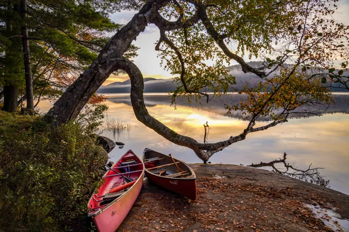 Two canoes rest under a tree leaning over a shoreline. The sun sets over the lake with mountains beyond.