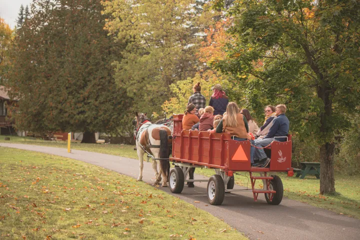 A group of adults and children ride in a red wagon, pulled by horses, amid fall foliage.