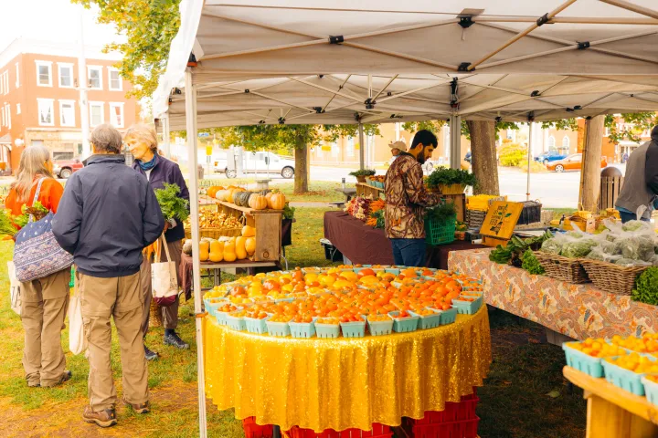 A large display of bright orange produce at a fall farmers' market.