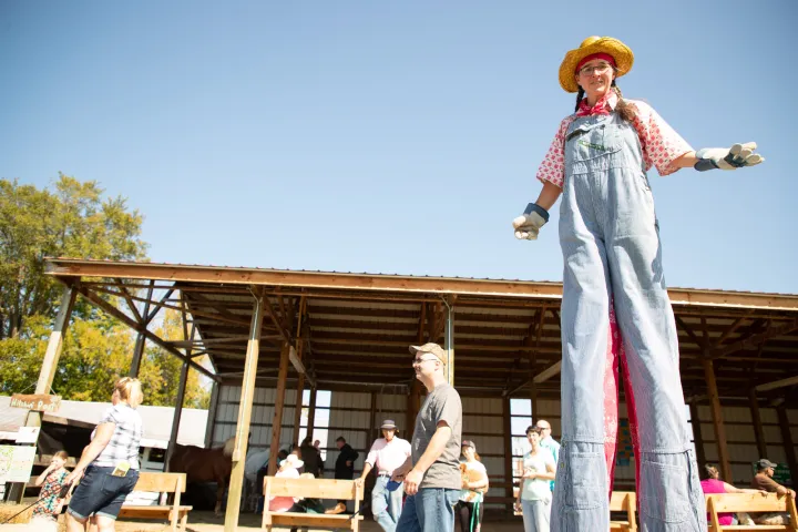 A clown on stilts walks in front of a small barn at a fall agricultural event.