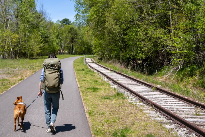 A woman and a dog walking a paved path next to railroad tracks.