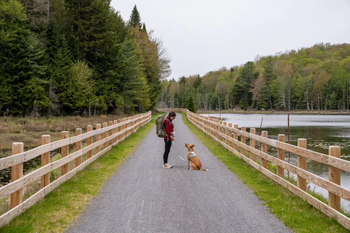 A woman and a dog look at each other on a gravel trail. There is a wood fence on each side of the trail and woods and a river beyond.