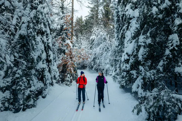 Cross-country skiing in the Adirondacks.