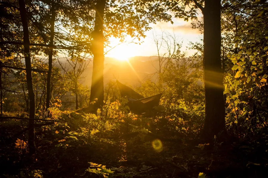 Image of a fall hike