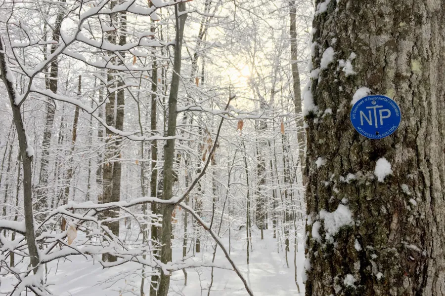 NPT trailmarker in the winter