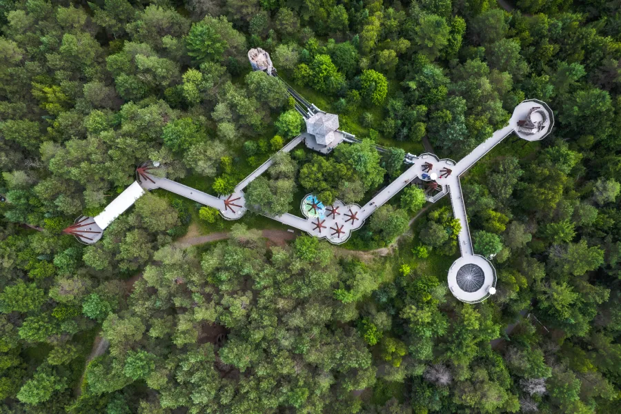 The Wild Walk at The Wild Center from the air