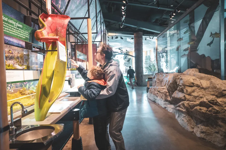 A father and son at The Wild Center in the winter