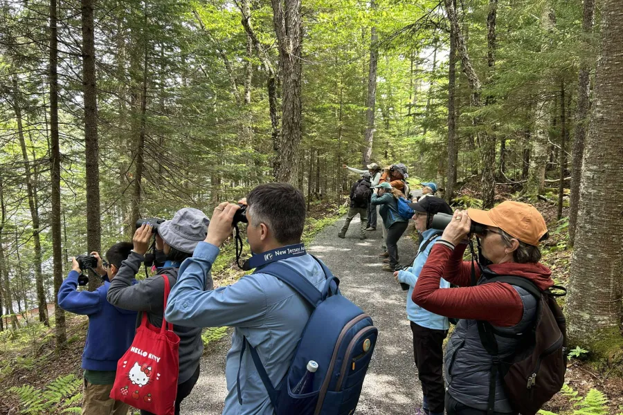 A group of people birding and using binoculars