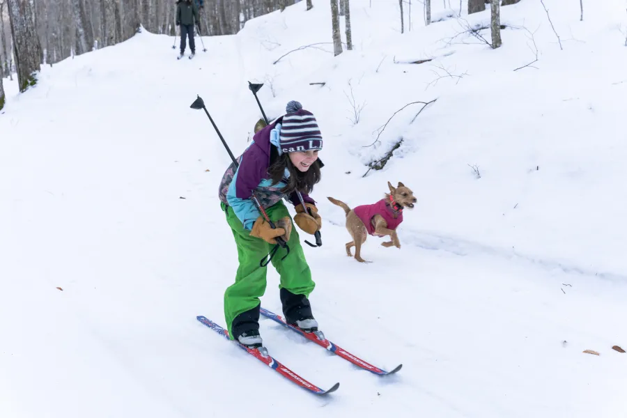 Cross-country skiing at Fern Park.