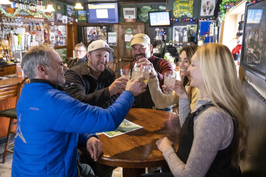 A group cheersing in a pub