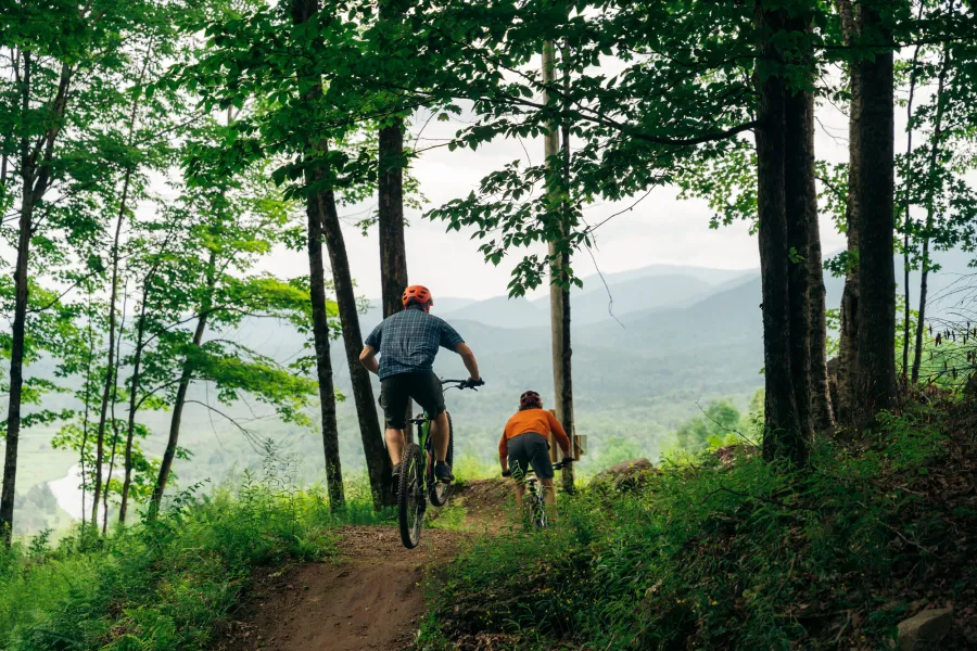 Mountain bikers about to exit the forested area of a trail