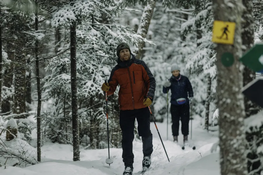 Two xc skiers on a forested trail