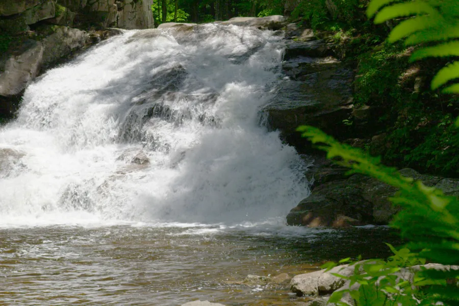 Tenant Creek Falls in the summer.