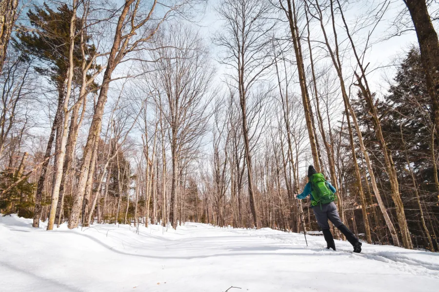 Cross-country skiing at Great Camp Sagamore.