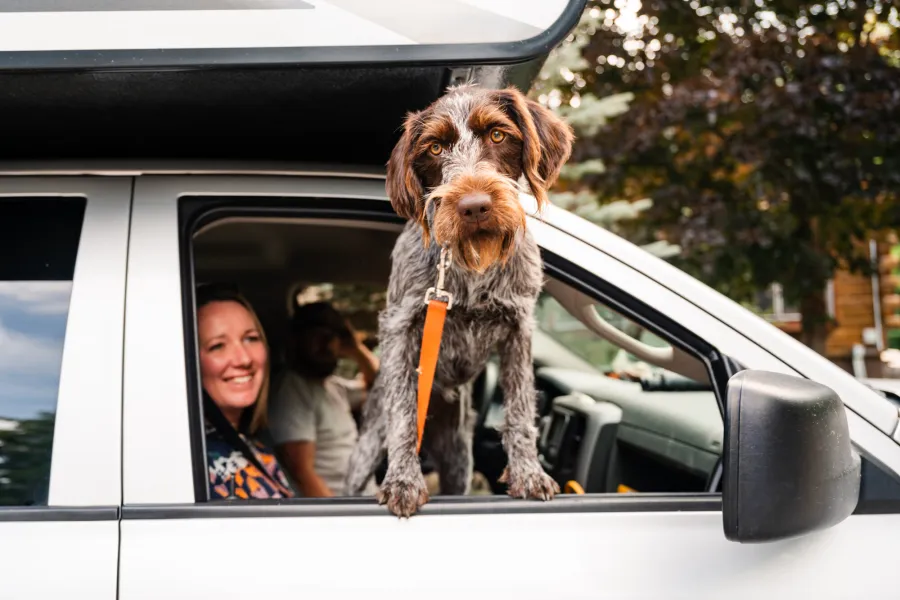 A family and dog in a camper van.