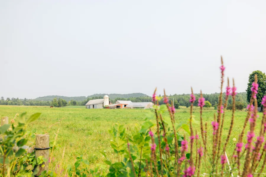 Mace Chasm Farm in the summer.