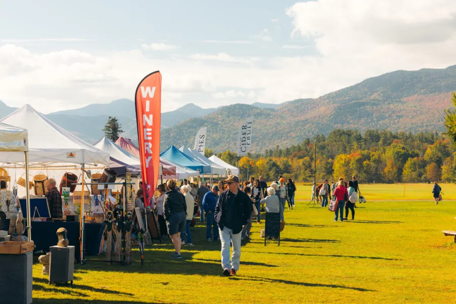 A farmers' market in an open field with mountains as a backdrop