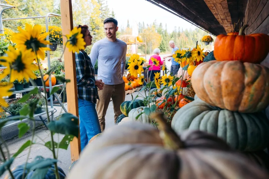 A young couple at a place that sells pumpkins and flowers in the fall