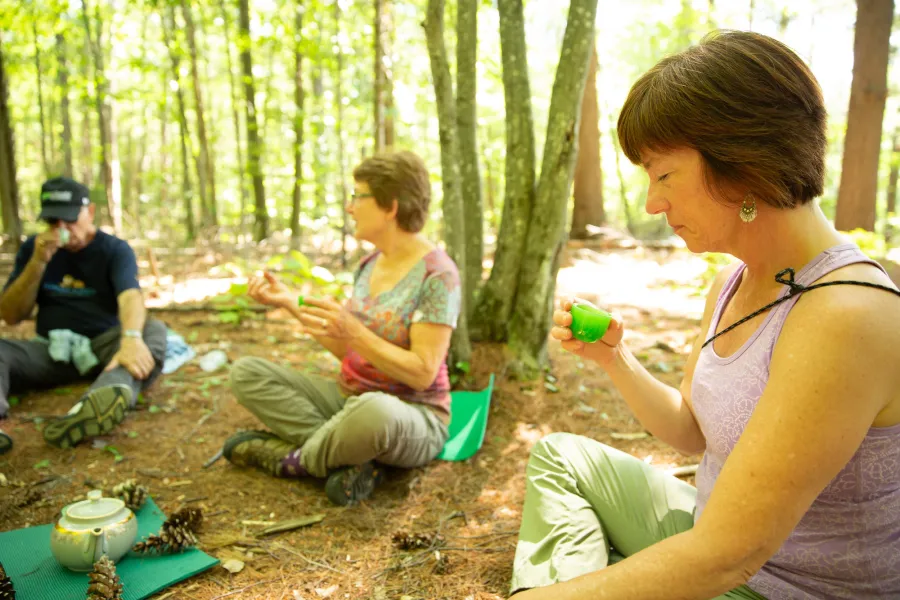 People partaking in forest bathing, drinking tea in a circle in the woods