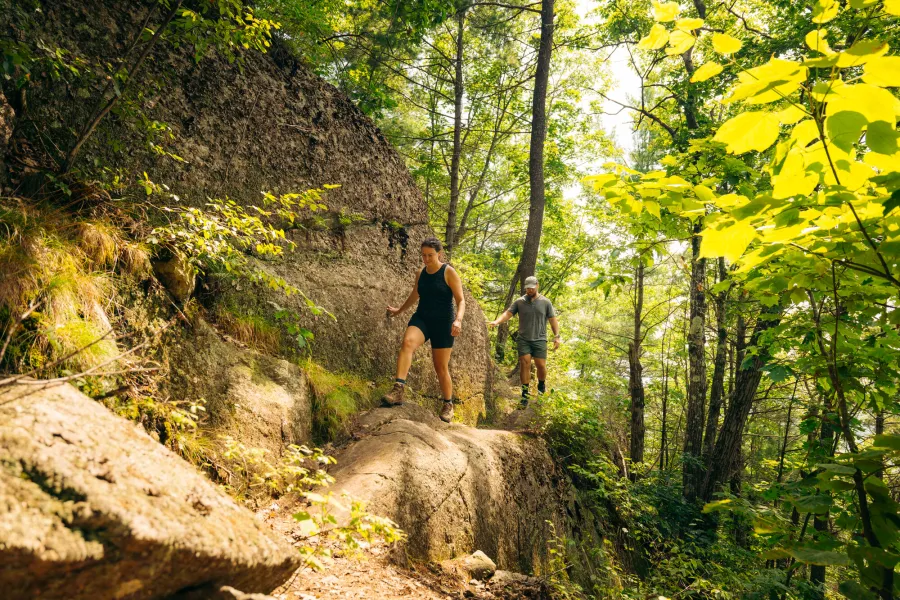 Two people hiking in the forest in the summer