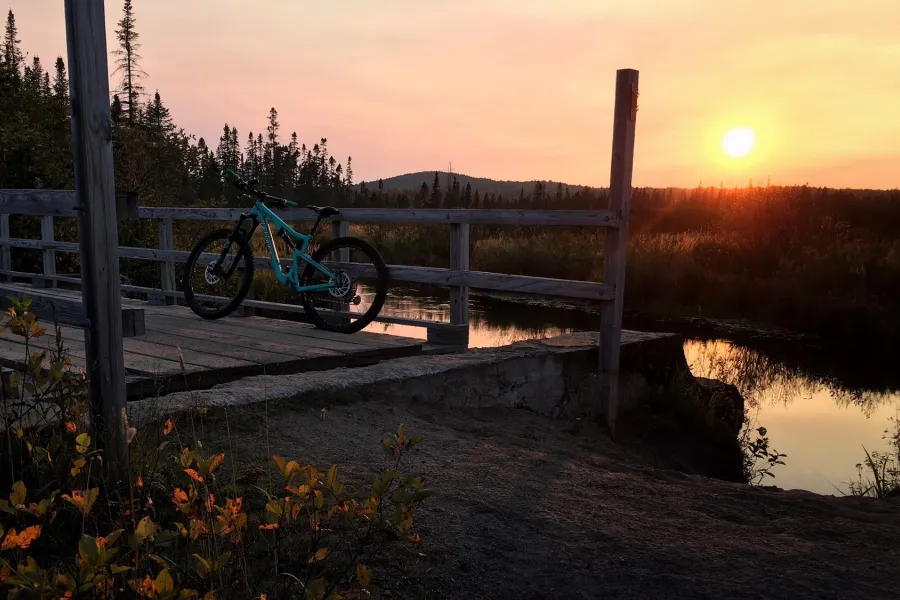 A bike on the bloomingdale bog trail.