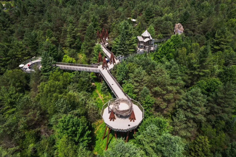 The Wild Center and The Wild Walk from the air