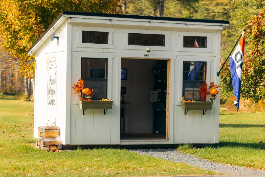 Maple stand roadside