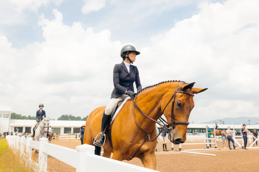 A woman rides a horse in dressage. 