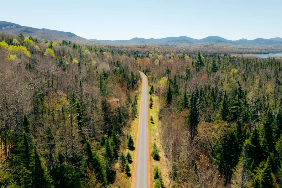 The Adirondack Rail Trail in the spring.