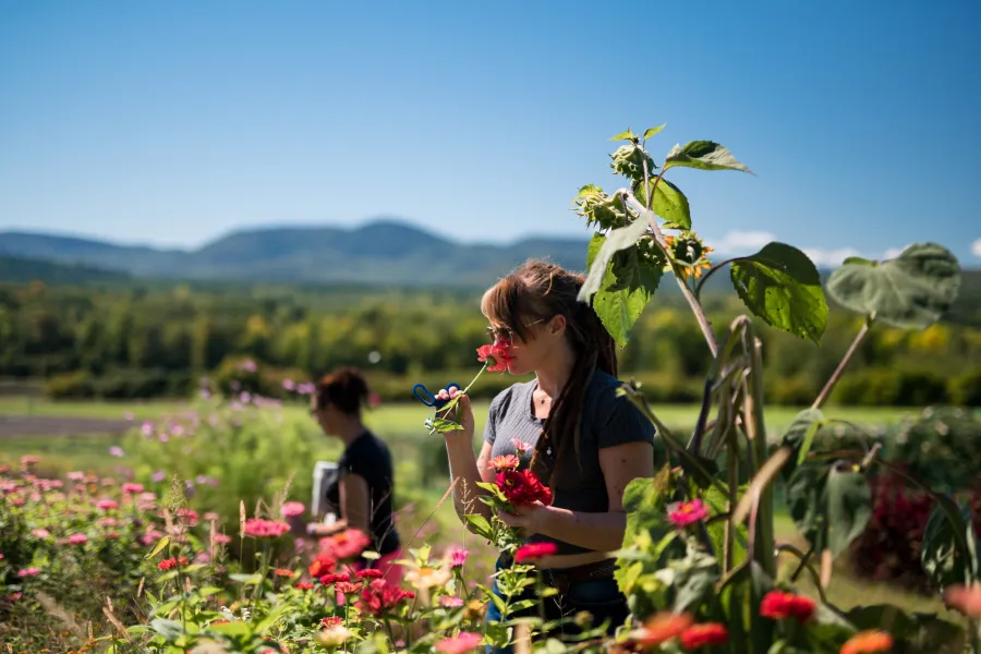 A woman smells flowers in a flower field. 