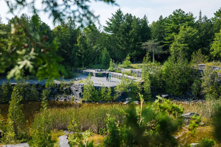 Essex Quarry in the summer.