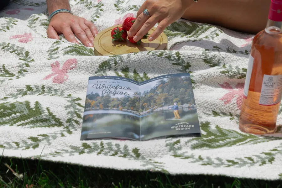 A tourism visitors guide lays on a picnic blanket next to a wine bottle, while two hands reach for strawberries.
