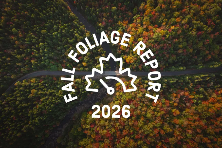 Get the fall foliage report!