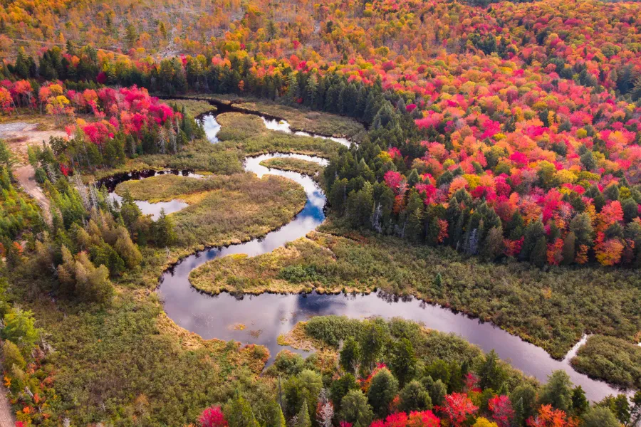 Fall foliage views in the Adiorndacks.
