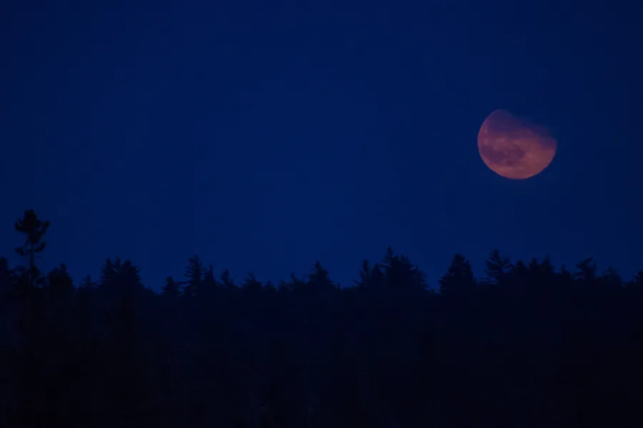 A spooky moon in the sky.