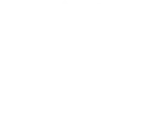 Fall Foliage Report 2026